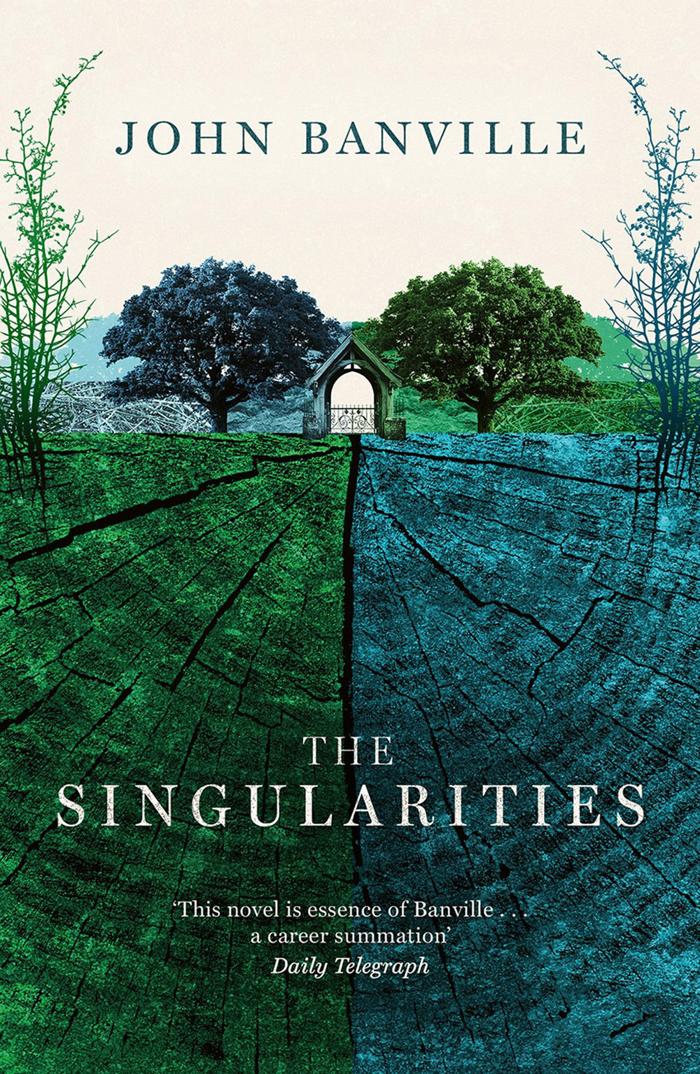 Singularities (The) = Singularités (Les) | Banville, John. Auteur